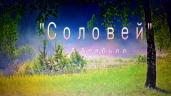 Соловей. А. Алябьев. Э. Сладкевич