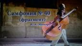 Симфония №40. (Фрагмент) Моцарт. Э. Сладкевич